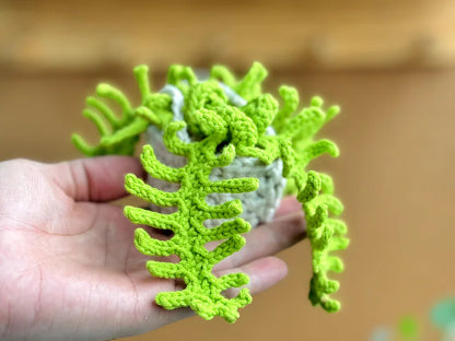 Plant crochet pattern, car hanging plant Crochet Pattern